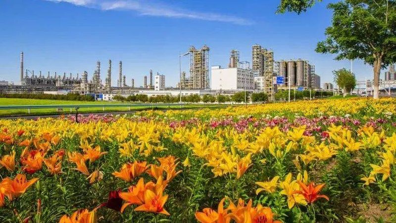揭秘上海电子级精细化工产品厂家排名背后的考量