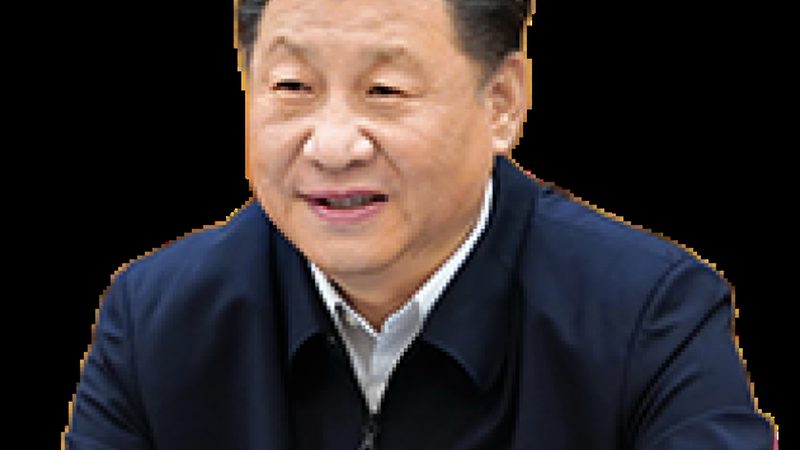 亚敏胶粘剂在成都的应用与选择要点
